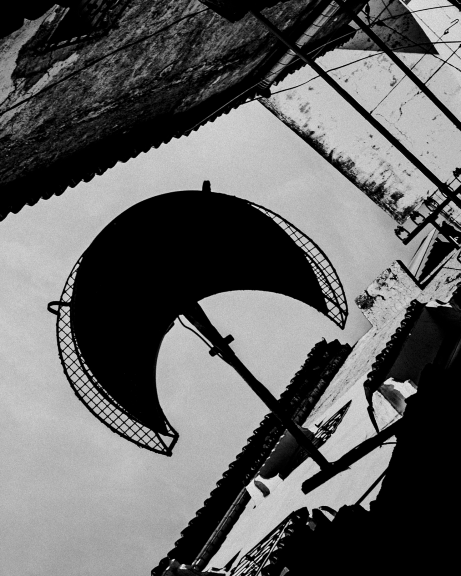 Photo n°6 de la série photo III.