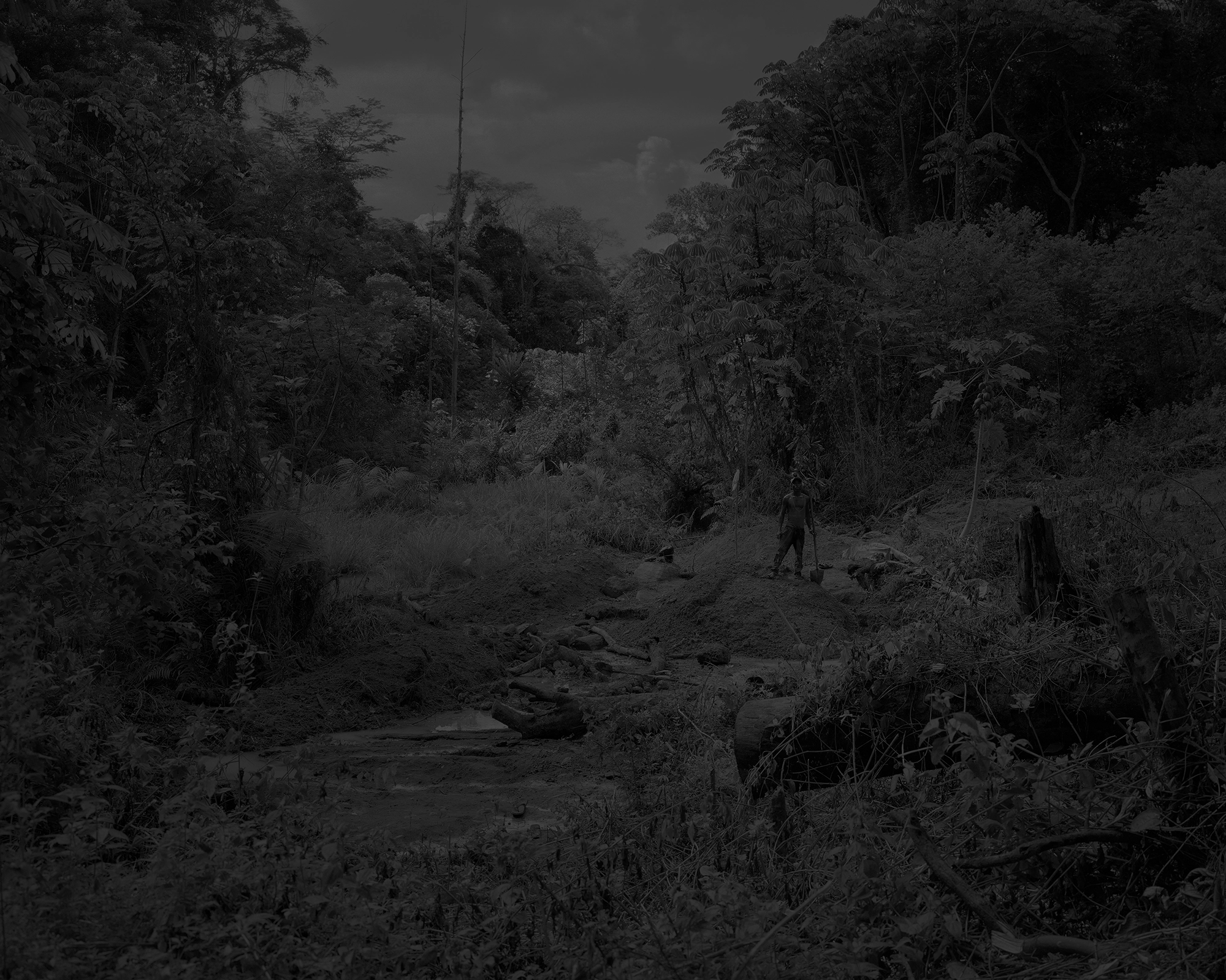Photo n°19 de la série photo Reaching for dawn