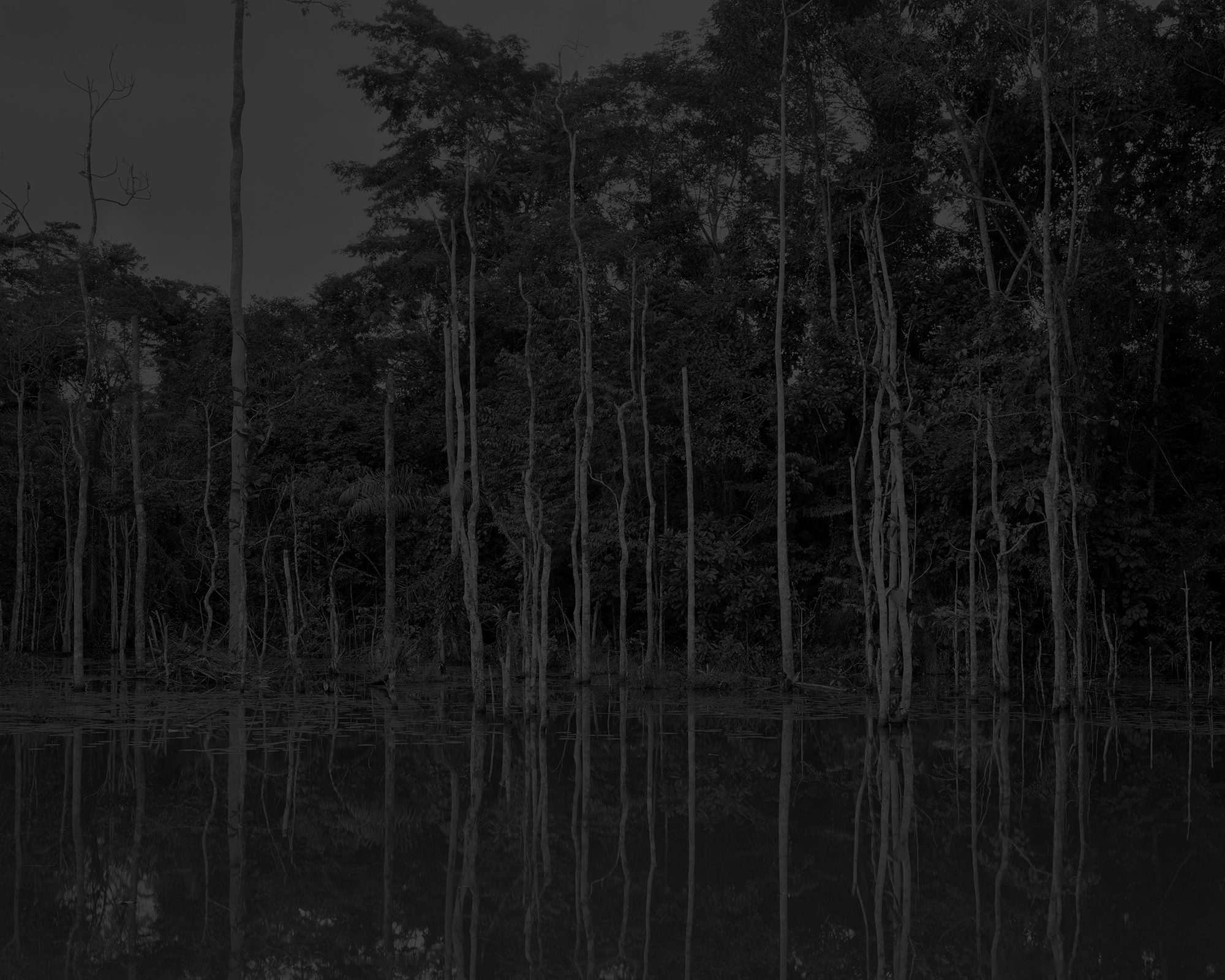 Photo n°3 de la série photo Reaching for dawn