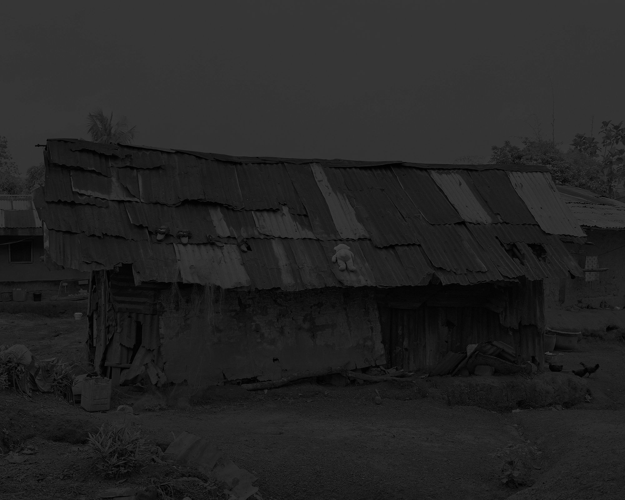 Photo n°7 de la série photo Reaching for dawn