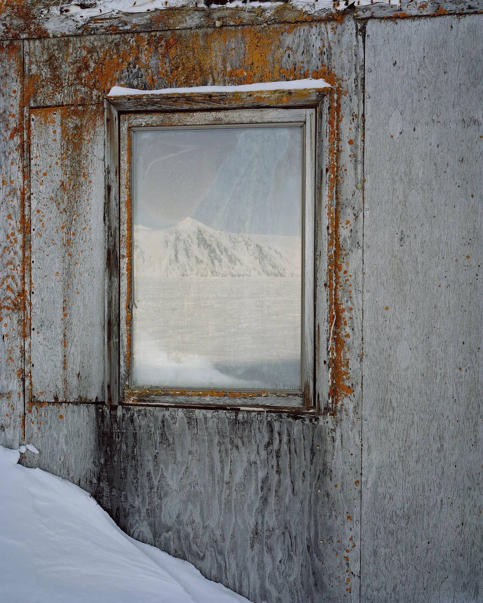 Photo n°4 de la série photo Tomorrow's gone